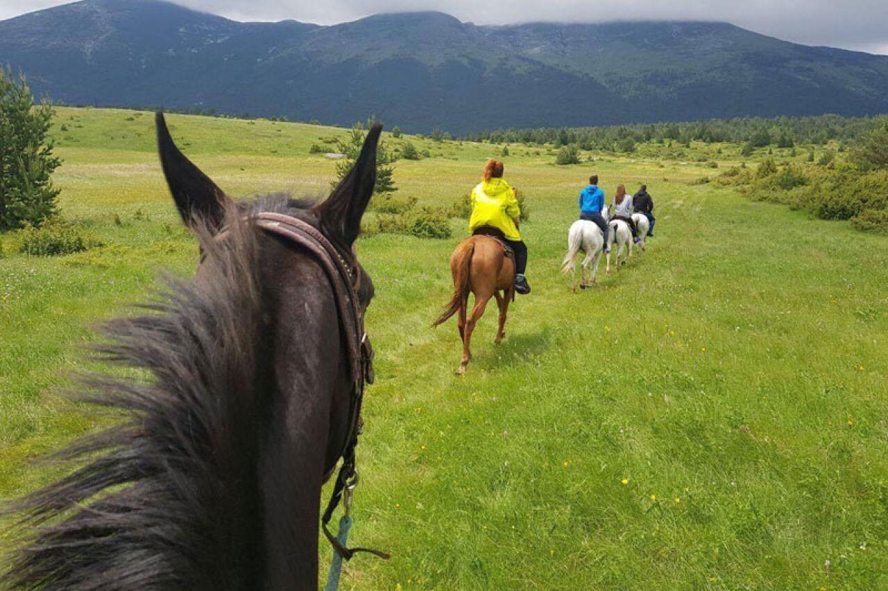 Park prirode Blidinje - Avaz