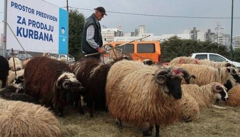 Izdate preporuke za kupovinu i klanje kurbana - Avaz