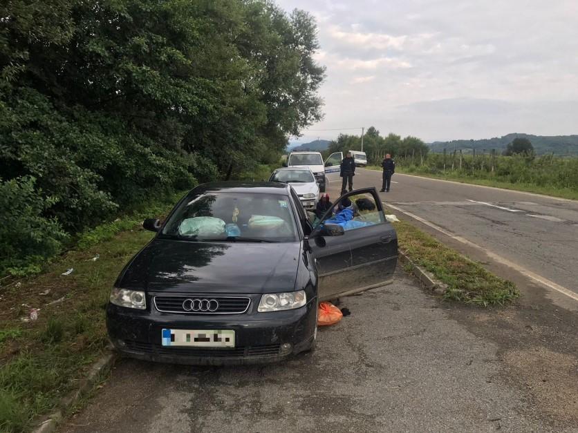 Migrante prevozili u automobilima - Avaz