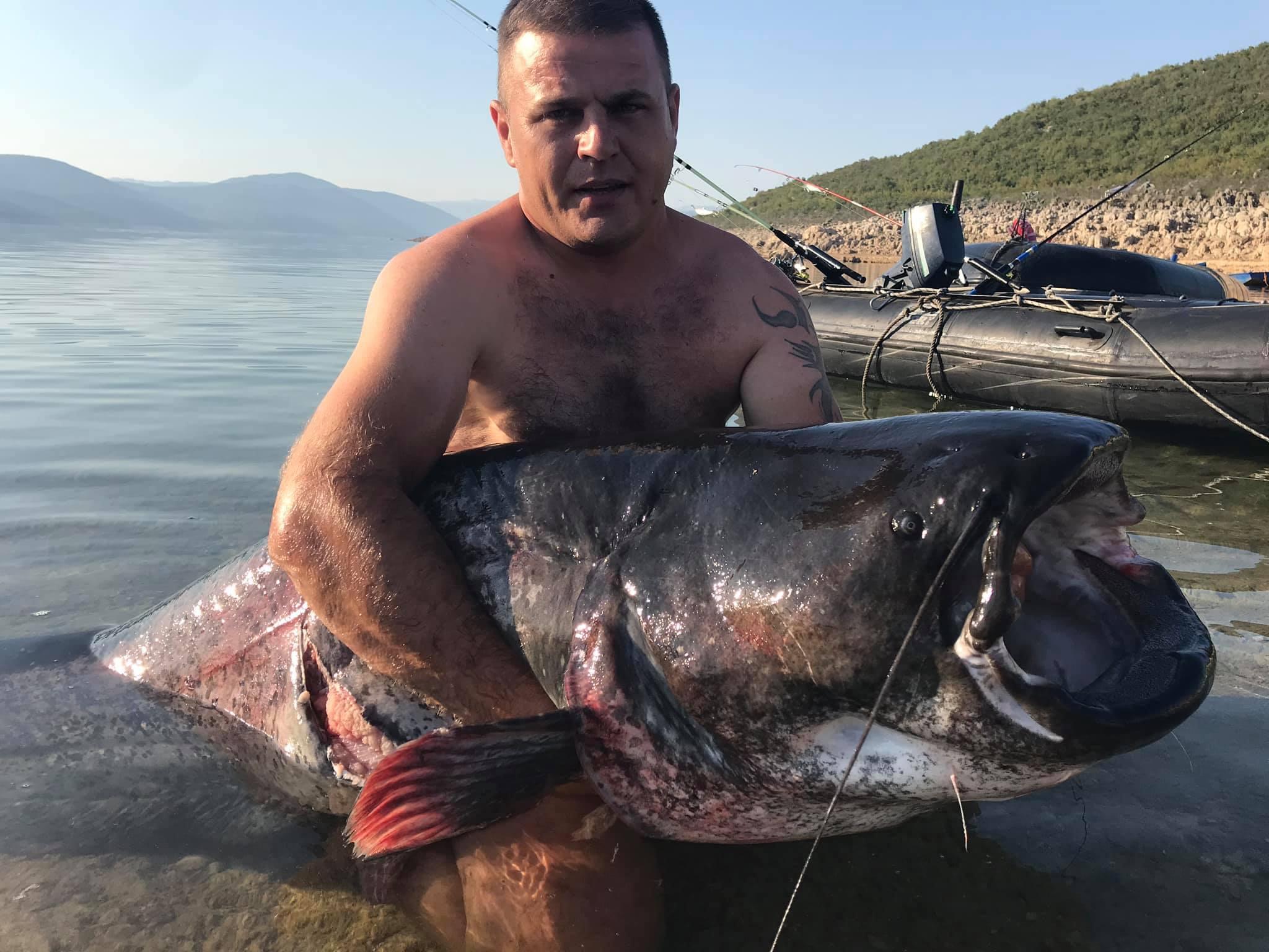 U Bilećkom jezeru ulovljen som težak skoro 100 kilograma