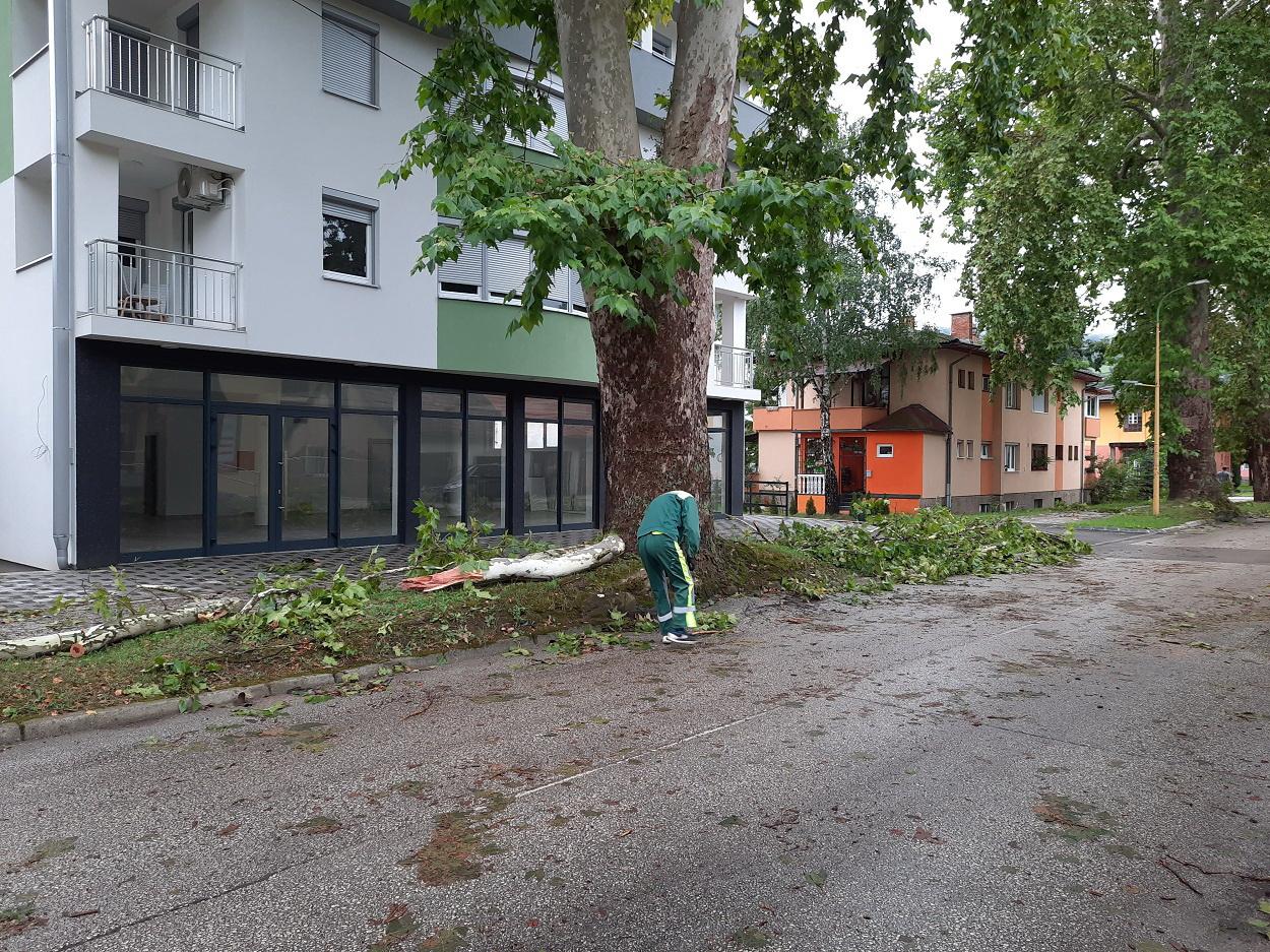 Jaka kiša u Maglaju lomila stabla