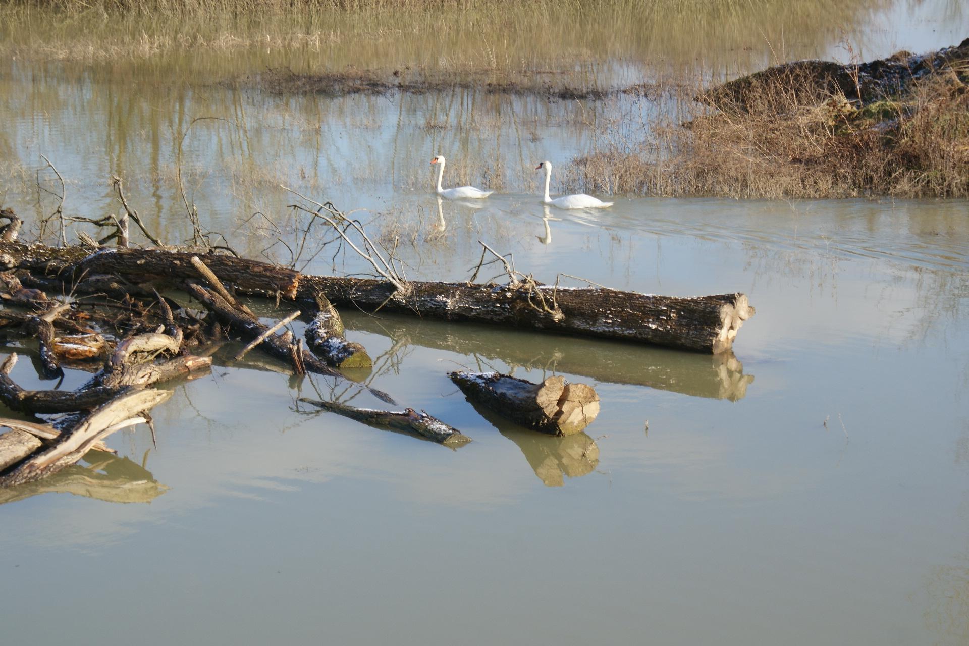 Sava se izlila u nebranjenom dijelu, ohrabruju najave meteorologa