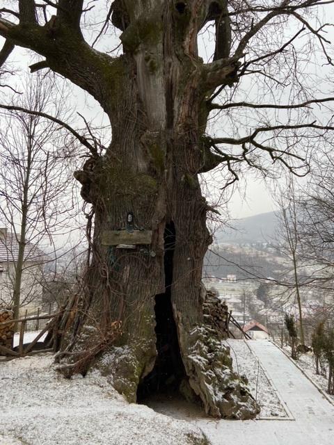 Godinama, niko ne zna koliko, nalazi se u avliji porodice Kalember - Avaz