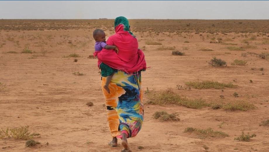 ‘Climate change deprives 70% of Somalians of safe water’