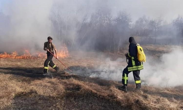 Vatra se na azil proširila zbog zapaljenog niskog rastinja - Avaz