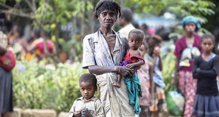 Madagaskar na rubu gladi, stanovnici prisiljeni jesti skakavce i kaktuse