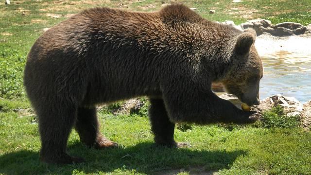 Ovakvi napadi su u Koloradu izuzetno rijetki - Avaz