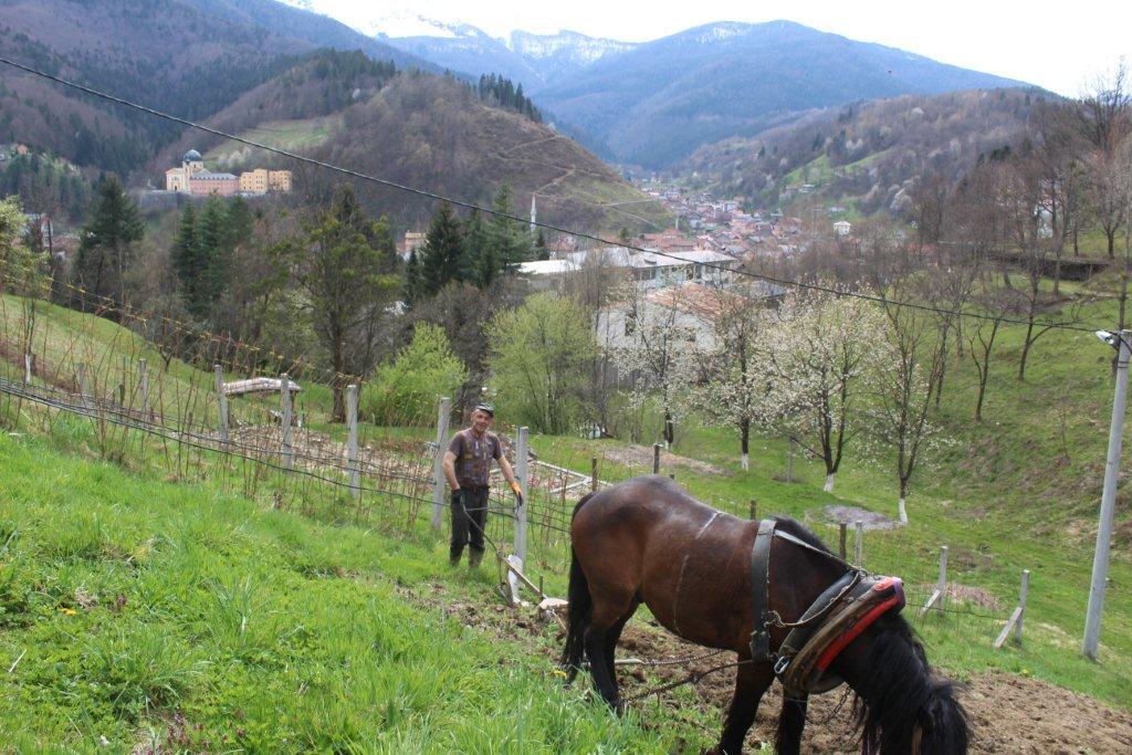 Damir Iviš iz Fojnice: Nikada ne bih ostavio rodnu grudu