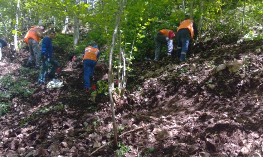 Ekshumirani posmrtni ostaci najmanje pet žrtava na lokalitetu Dobro Polje