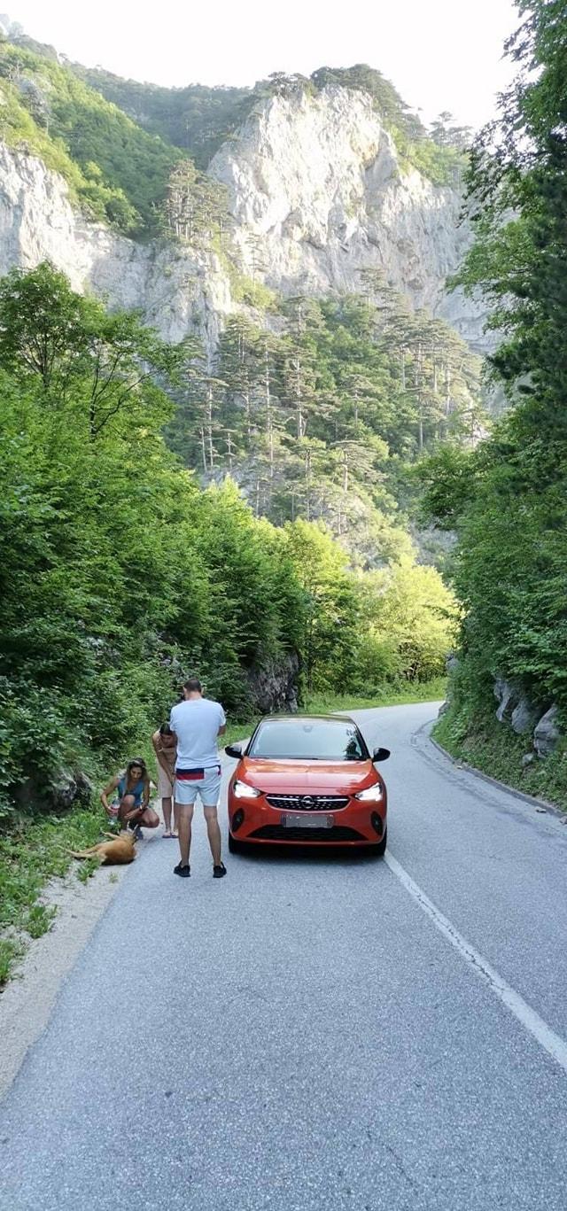 Prolaznici priskočili srni u pomoć - Avaz