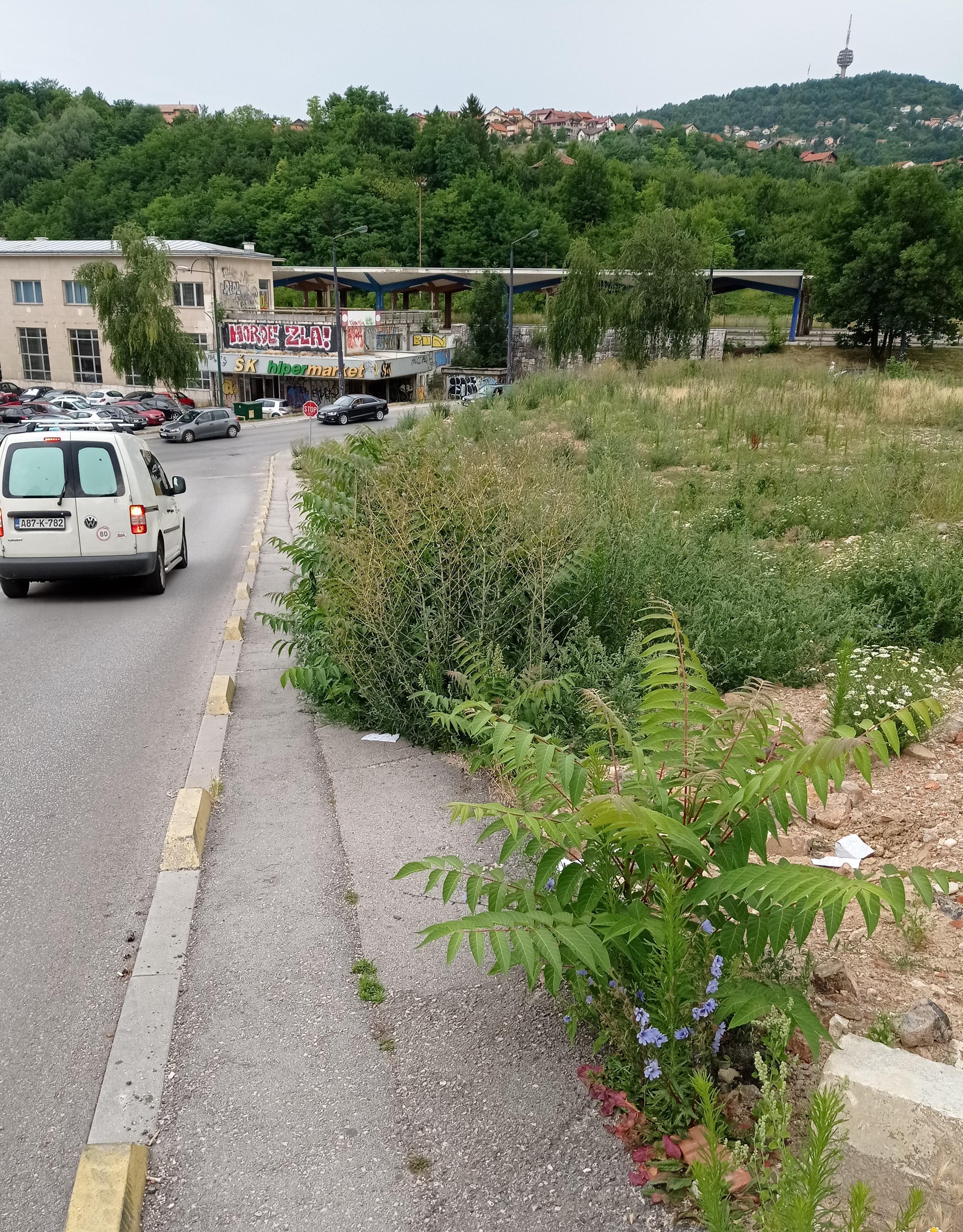 Tešanjska ulica: Trotoari zapušteni - Avaz