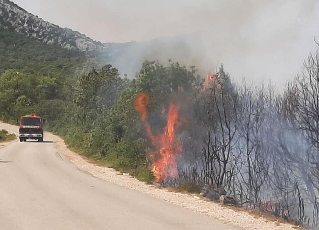 Vatrogasci na terenu - Avaz