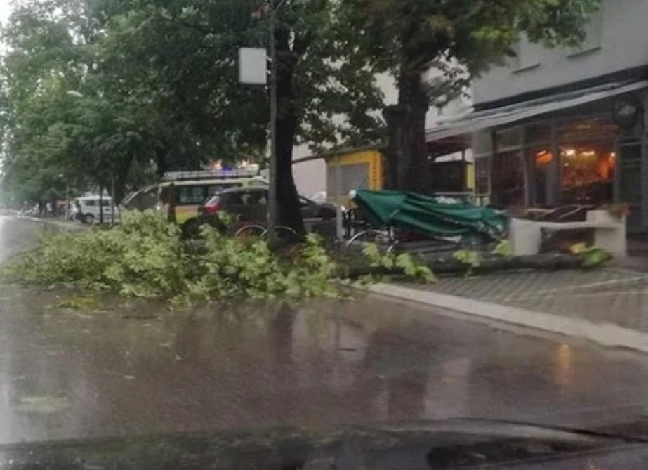 Oborena stabla u centru grada - Avaz