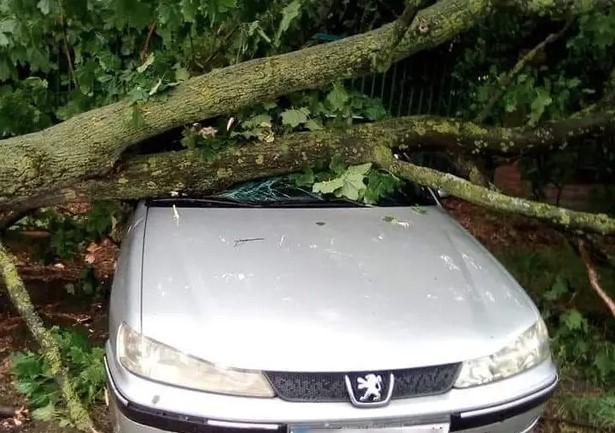 Vjetar čupao stabla i dizao krovove u zrak