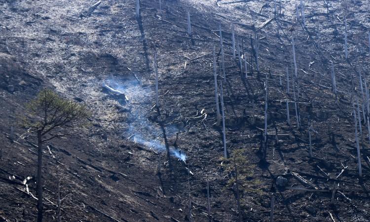 Vatra se širi prema naseljenim mjestima - Avaz