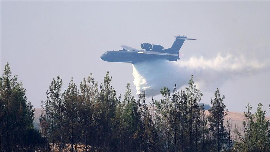 Srušio se avion tokom gašenja požara u Turskoj