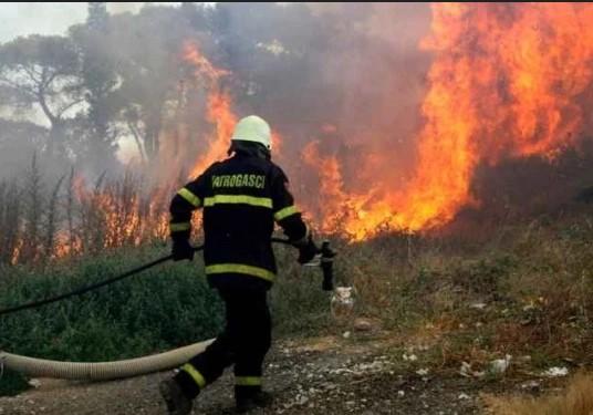 Jedna vatrogasna ekipa dežurala je cijeli dan i noć na lokalitetu Budisavine u čapljinskoj općini - Avaz