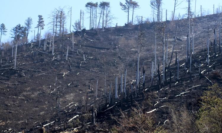 Požar ugrožava Donju Jablanicu, akcija gašenja nastavlja se i danas