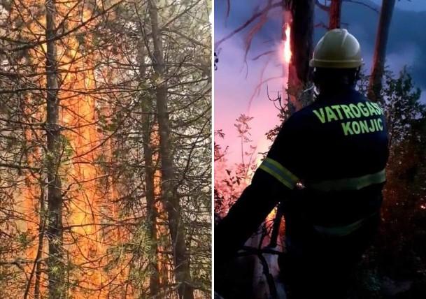 Dramatični snimci sa planine Zvekuše: Plamena buktinja nekontrolirano guta šumu