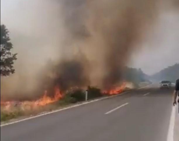 Požarna linija na Zupcima duga pet kilometara, vjetar otežava gašenje