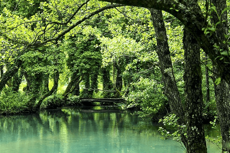 Prašuma Janj na listi UNESCO-a obogatila turističku ponudu BiH