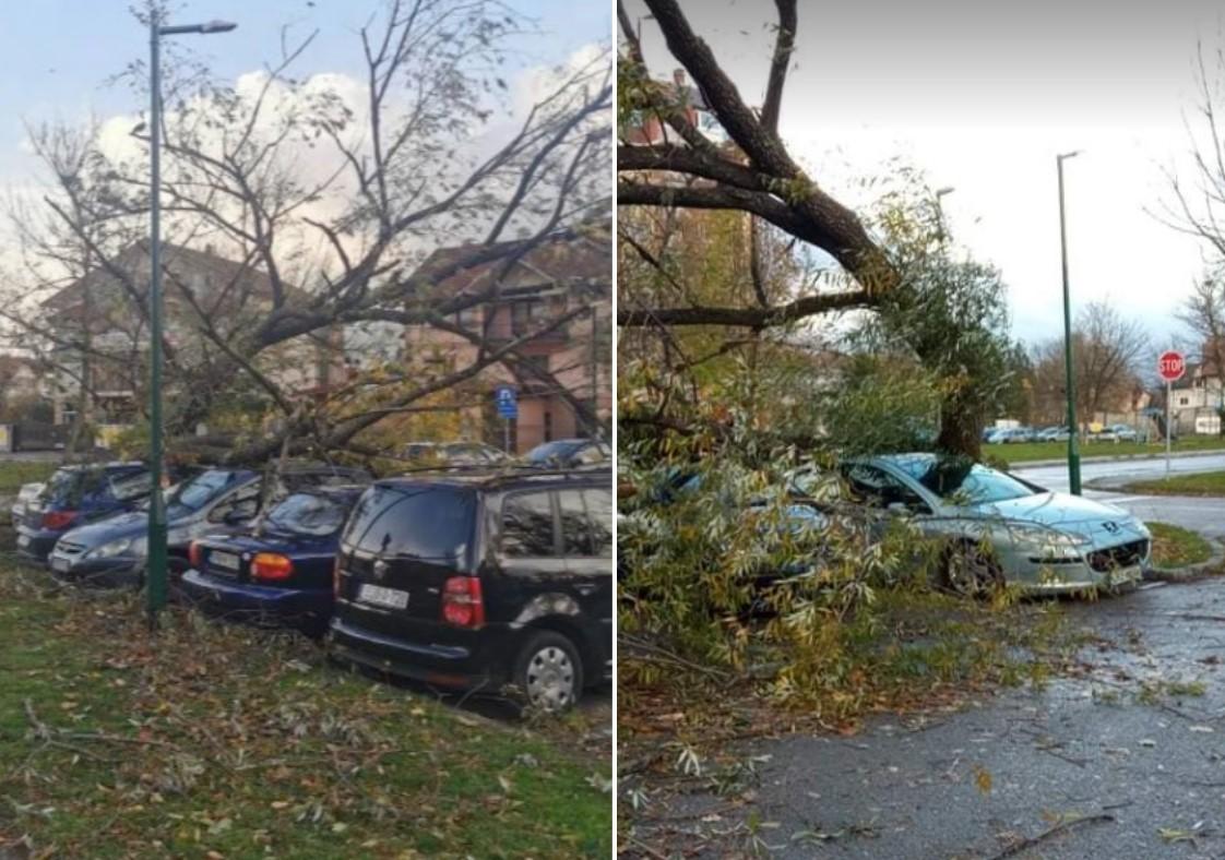 Snažan vjetar u Sarajevu oštetio krov škole, rušio stabla, panoe...