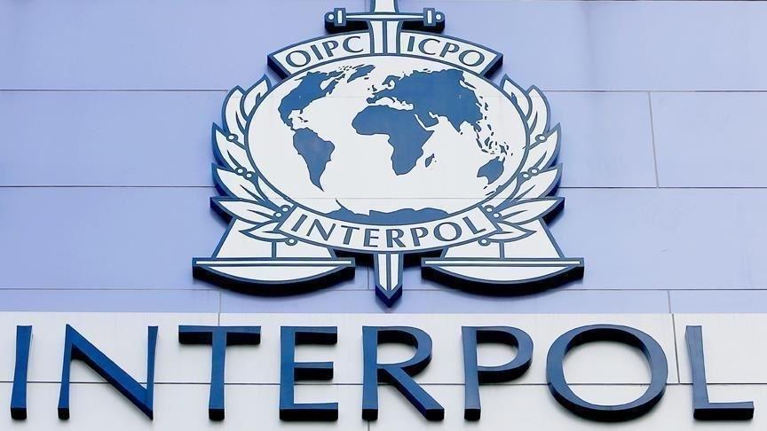 According to elections results, Al Raisi will serve as the Interpol chairman for the next four-year term - Avaz