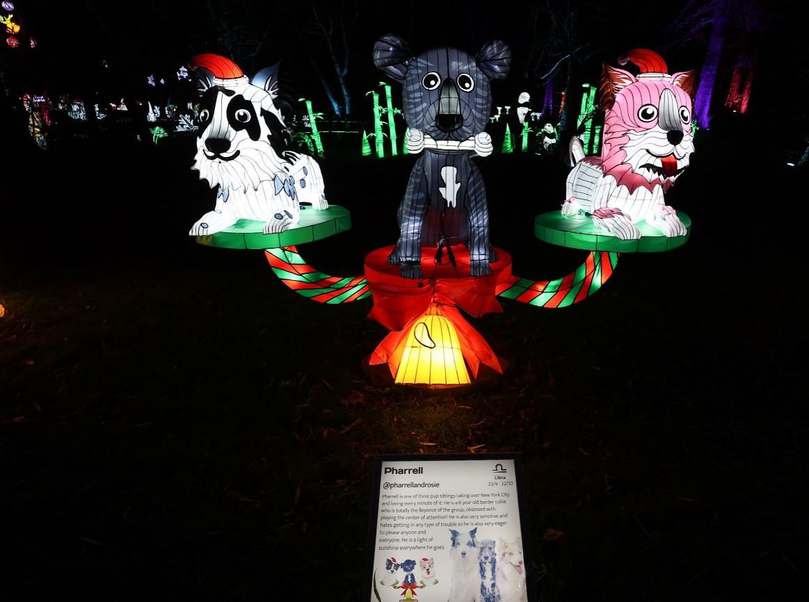 Festival svjetla u SAD: Izložene osvijetljene skulpture inspirirane prirodom i praznicima