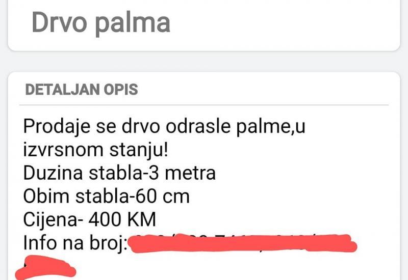 Oglas za palmu - Avaz