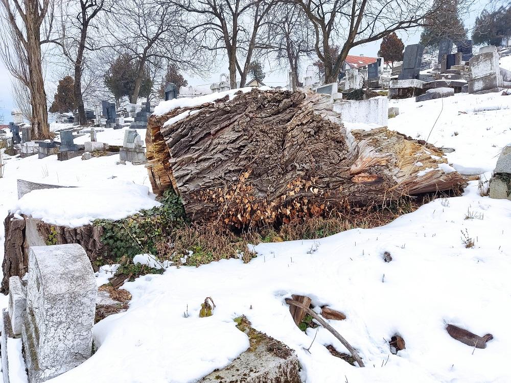 Jevrejsko groblje - Avaz