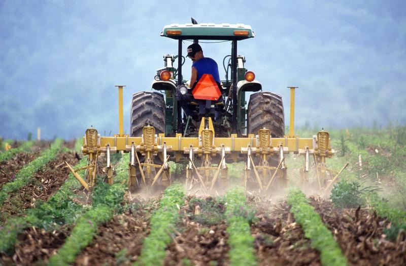 Planirana sredstva u FBiH ne mogu biti dovoljna: Poljoprivreda na koljenima, upitna proljetna sjetva