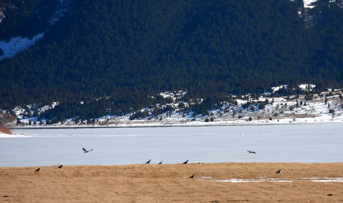 Blidinjsko jezero prekriveno snijegom i ledom