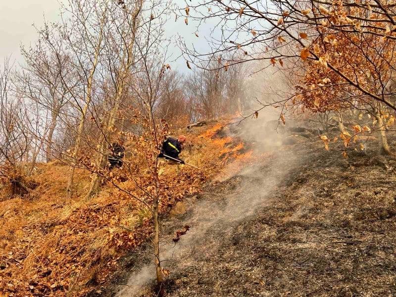 Od jučer traje borba sa vatrenom stihijom u blizini sela Zlate