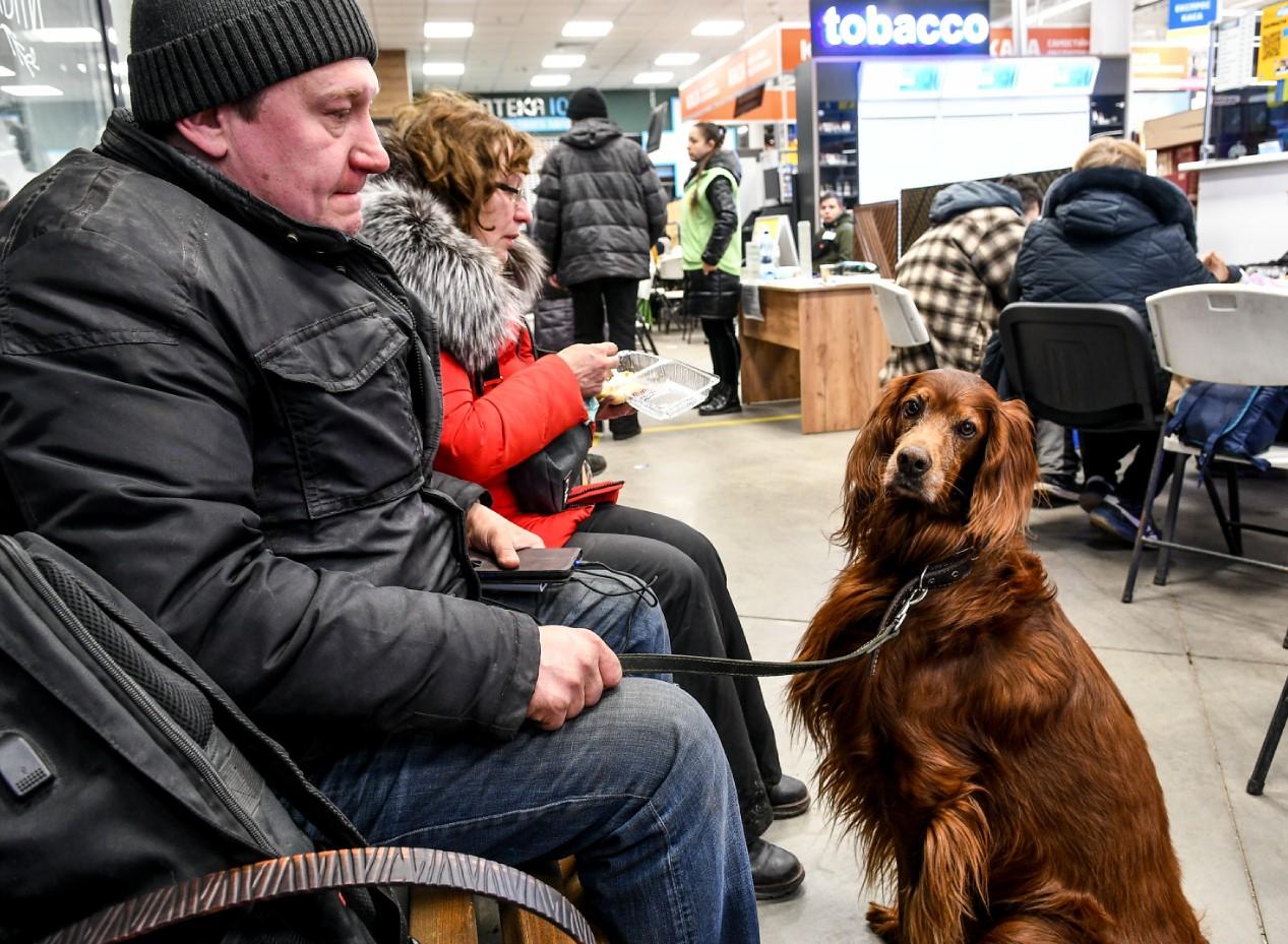 Ukrajinac sa psom - Avaz