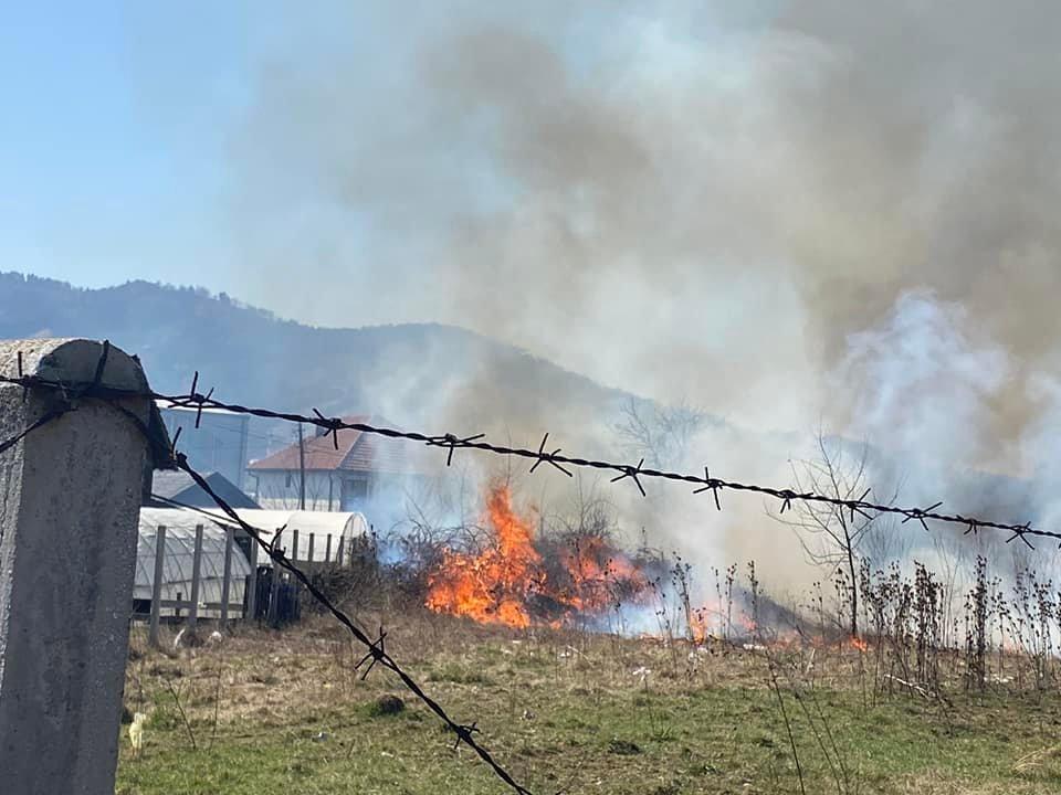 Vatra zahvatila i žbunje - Avaz