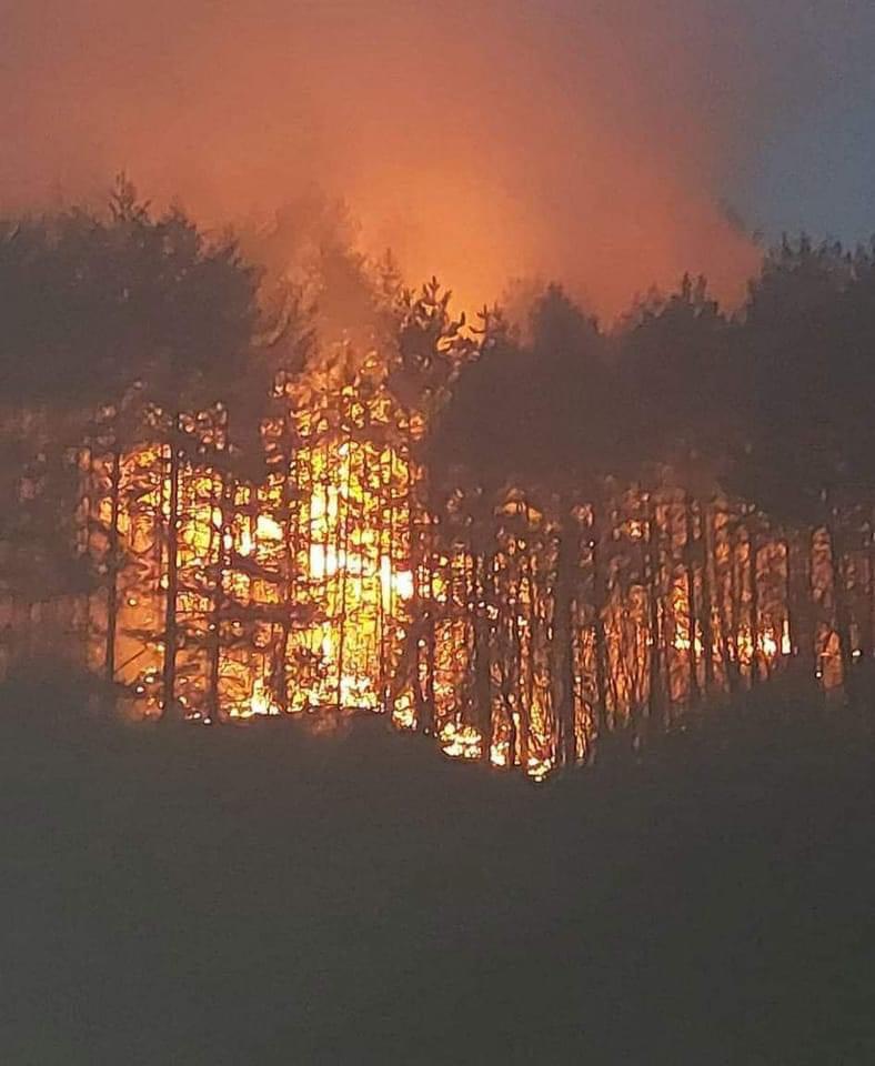 Gori šuma iznad Zenice - Avaz