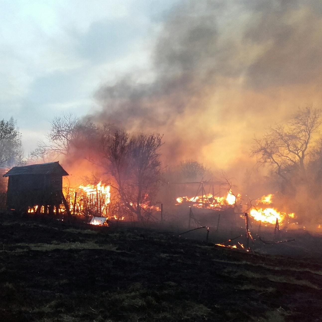 Veliki šumski požar - Avaz