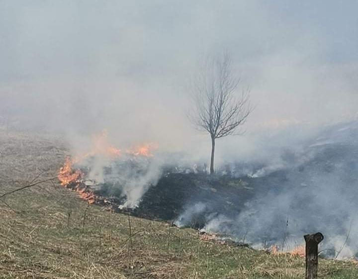 Požar kod Tuzle: Vatra prijetila kućama