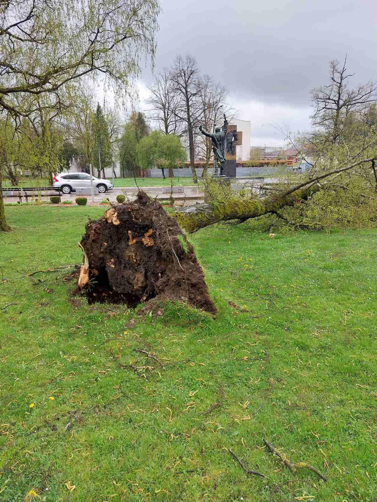 Nevrijeme u Prijedoru: Vjetar čupao stabla