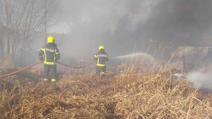 Na jugoistoku Srbije požar: Gori suho nisko rastinje i borova šuma