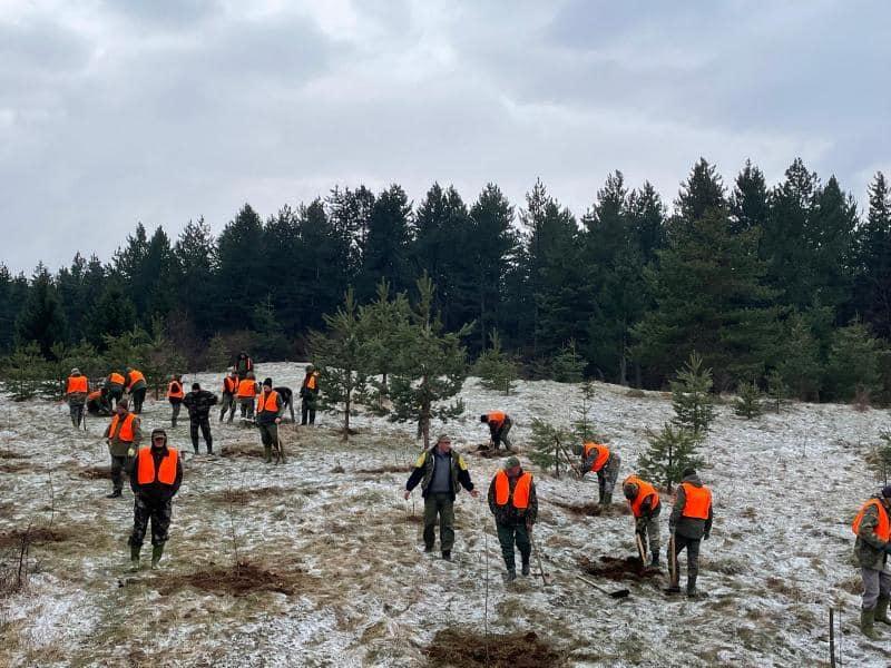 Zasađeno 550 sadnica - Avaz