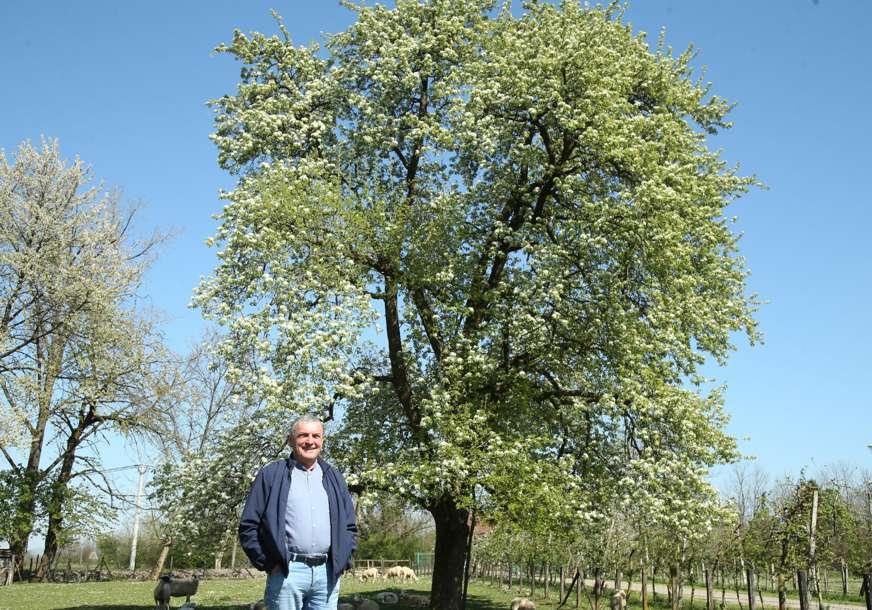 Boravi u prirodi - Avaz