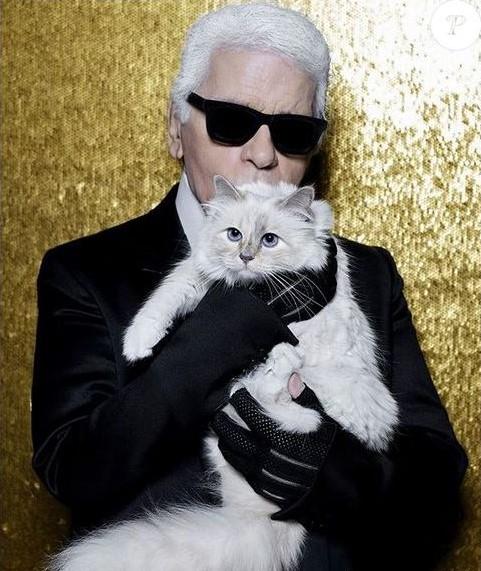 Karl Lagerfeld - Avaz