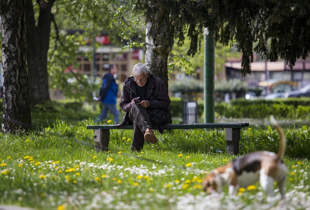 Odmor u parku - Avaz