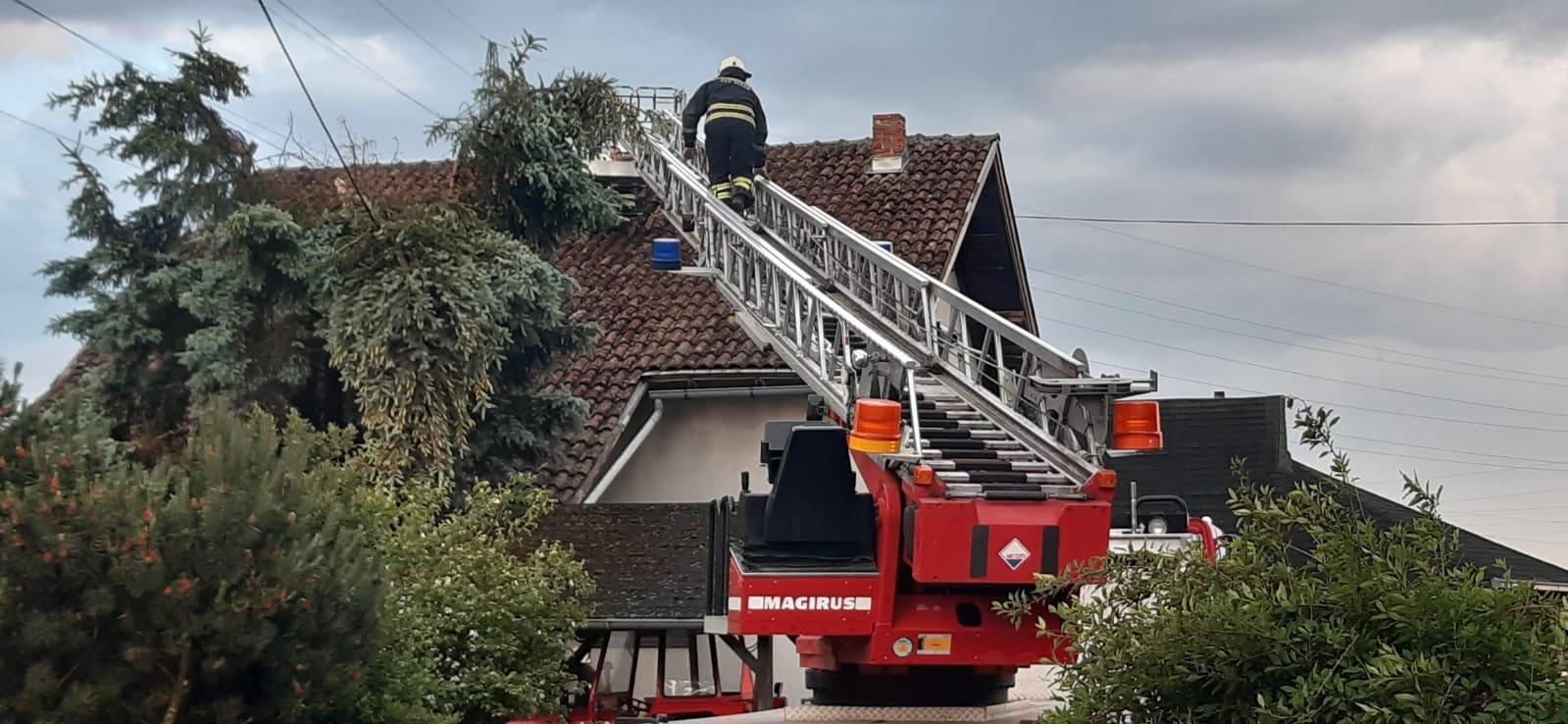 Drvo palo na dječji vrtić u Sisku