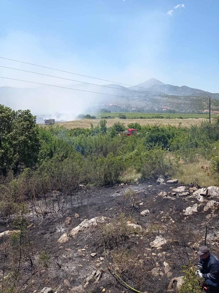 Požarište kod Trebinja - Avaz