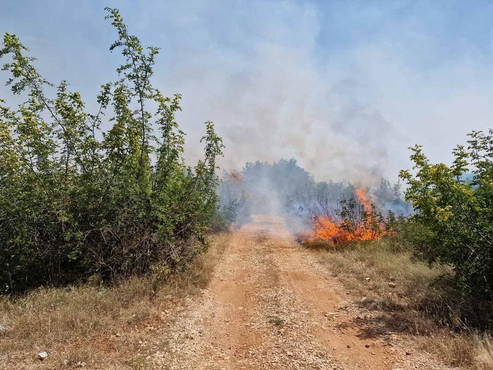 Vatrogascima u borbi s vatrenom stihijom pomažu i mještani koji su uputili apel za pomoć u gašenju požara - Avaz