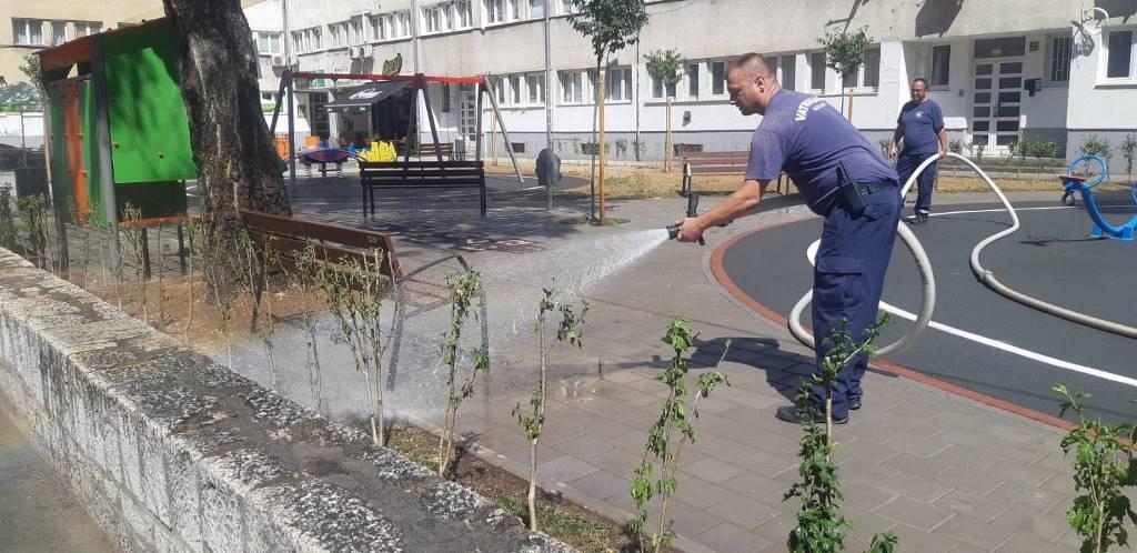 Nastavljena akcija zaštite zelenih površina u Centru - Avaz