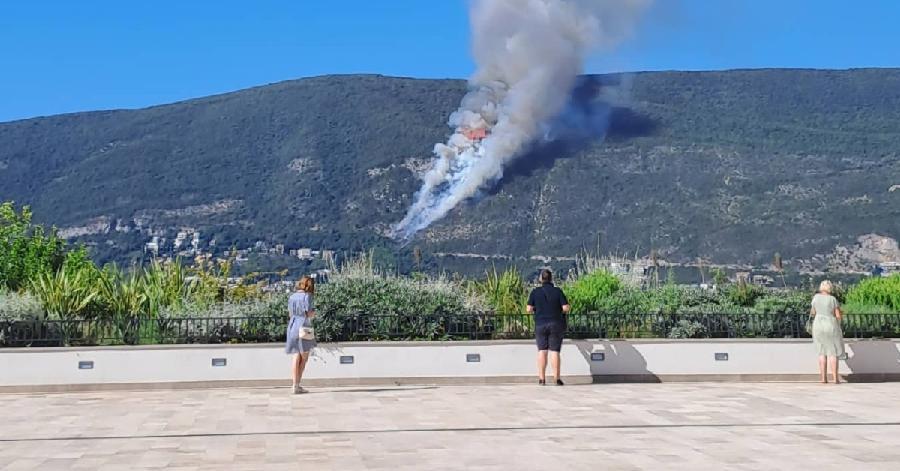 Požar u Crnoj Gori: Vatrogasci na terenu, zatražena pomoć iz zraka