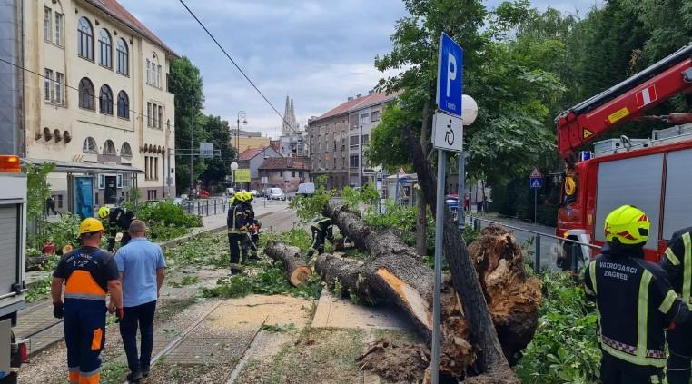 a teren su izašli vatrogasci koji rade na uklanjanju stabla - Avaz